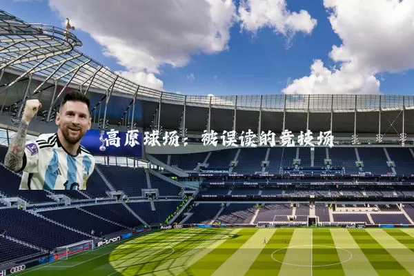 高原球场：被误读的竞技场